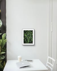 Image 4 of SPECTRAL FRAGMENTS | GREEN