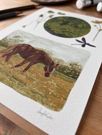 Image 2 of Horse Fine Art Print