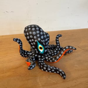 Image of Black beauty 