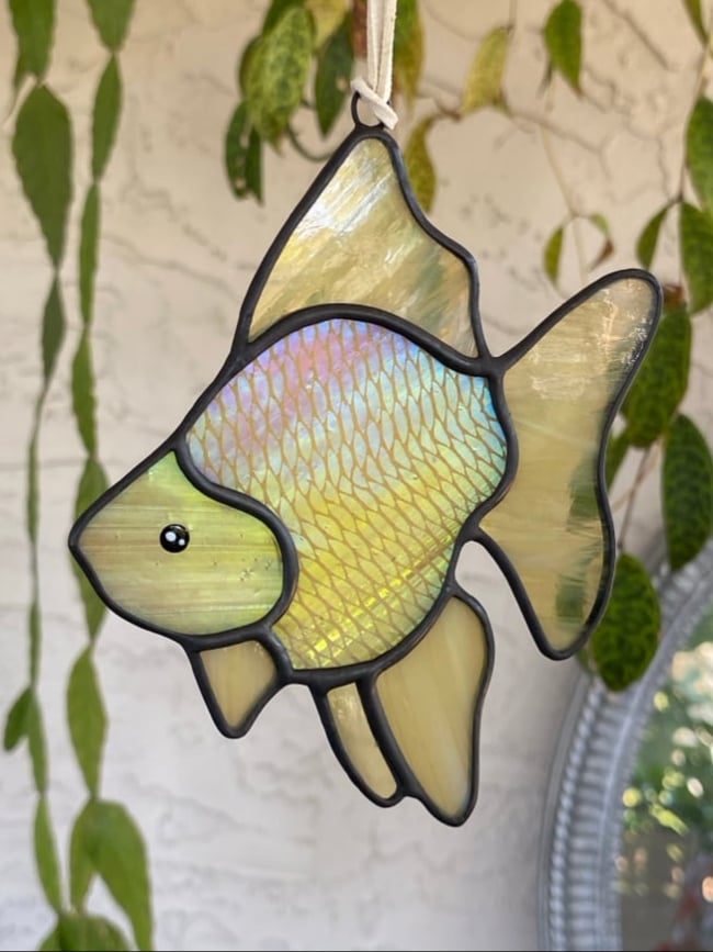 Image of GOLD Ryukin Goldfish