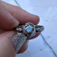 Image 2 of Moon Skull