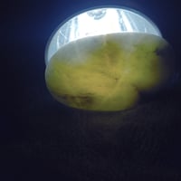 Image 2 of MilkStone |Olive Glow MS-OL-02