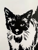 THE CATPACK “SEBASTIAN” screen print.
