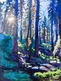 “Sequoia Sunset” Print