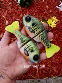 Image 1 of Buddy Gill Glide