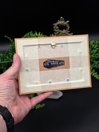 Image 4 of Vintage Alice Collection with preserved web - Giant Alice