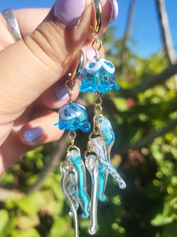 Image of Jellyfish Customs