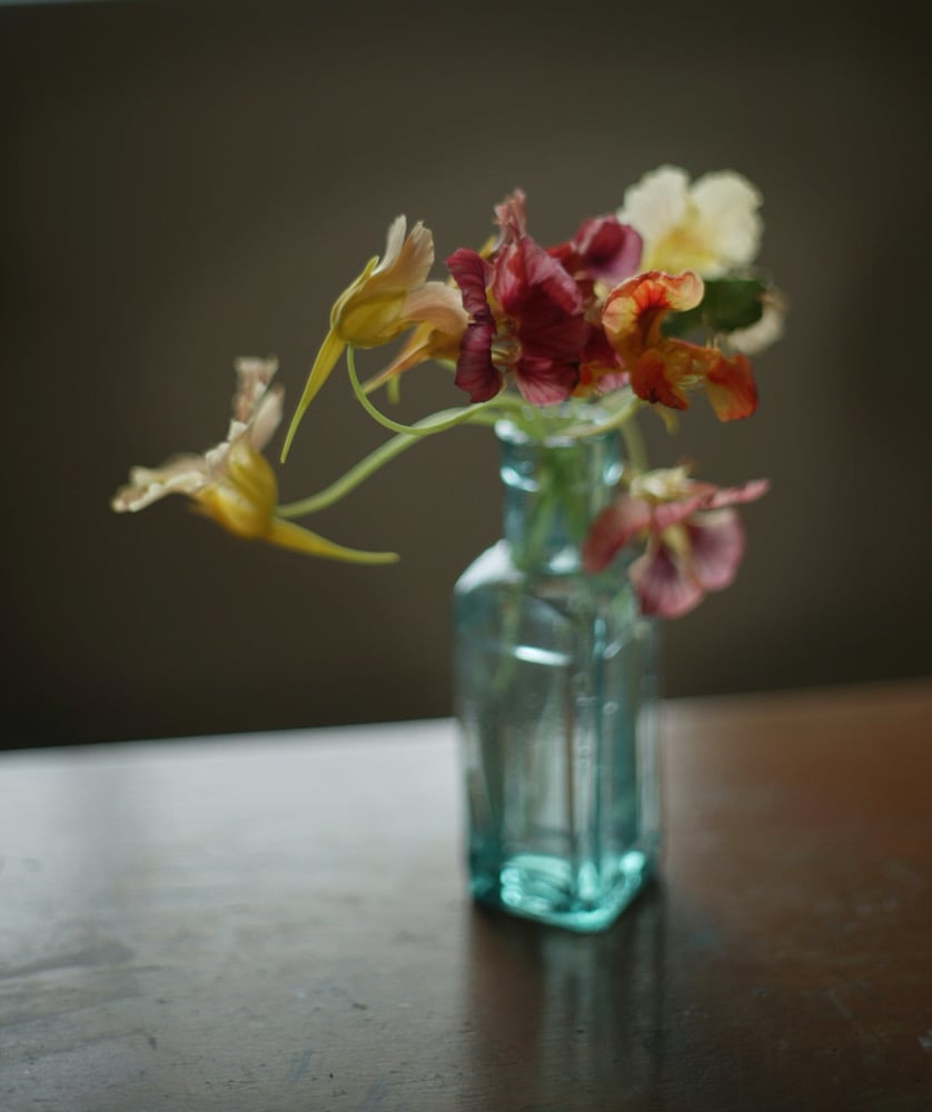Image of Nasturtiums (A)