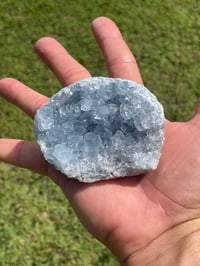 Image 8 of Celestite Cluster Specimen #1790