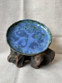 Image 4 of Plato M01