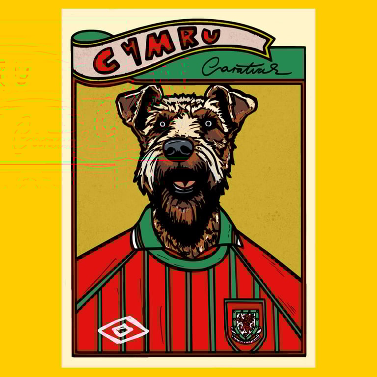 Wales 94 home , Man’s best friend (shirt or print) Image 2