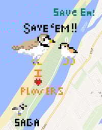 Image 4 of Pixel Conservation 