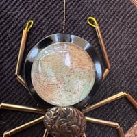 Image 2 of Amapnid (a, 3.5 inches) 