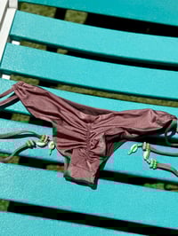 Image 2 of Shell brown 