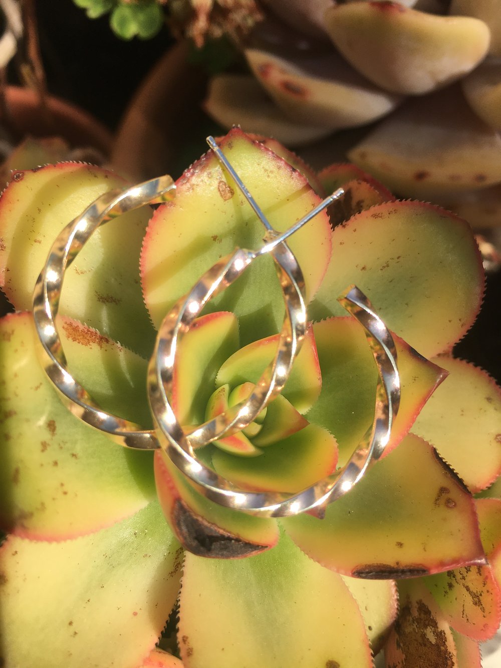 Image of Twisted hoops Brass