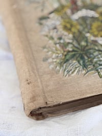 Image 16 of Anciens albums à cartes postales