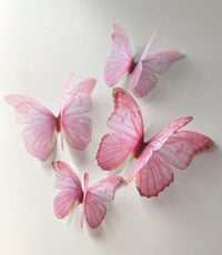Image 1 of Cherry pink (set of 4)