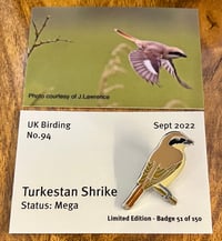 Image 1 of Turkestan Shrike - No.94 - UK Birding Pins - Enamel Pin Badge