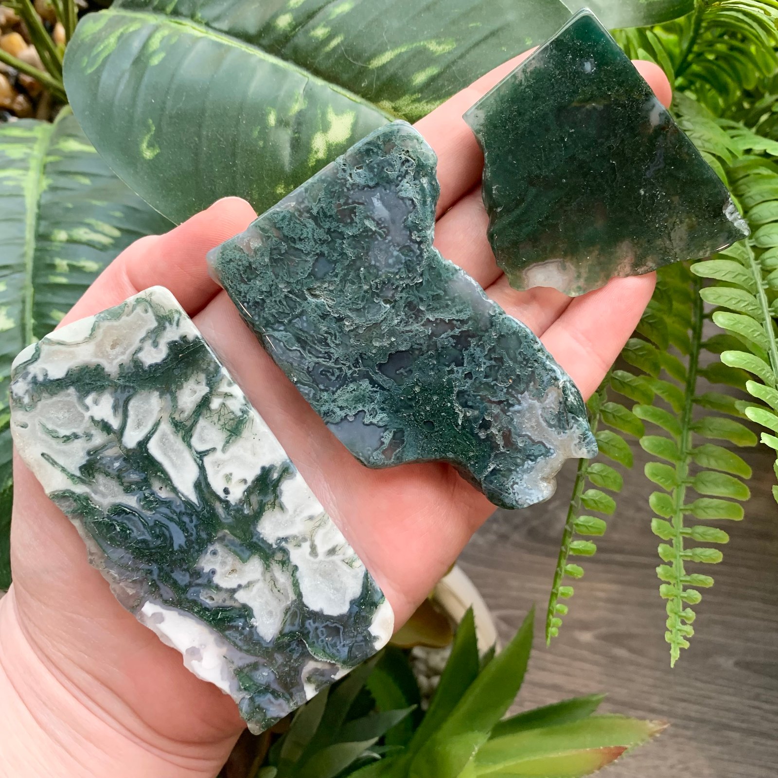 Moss agate shop slice