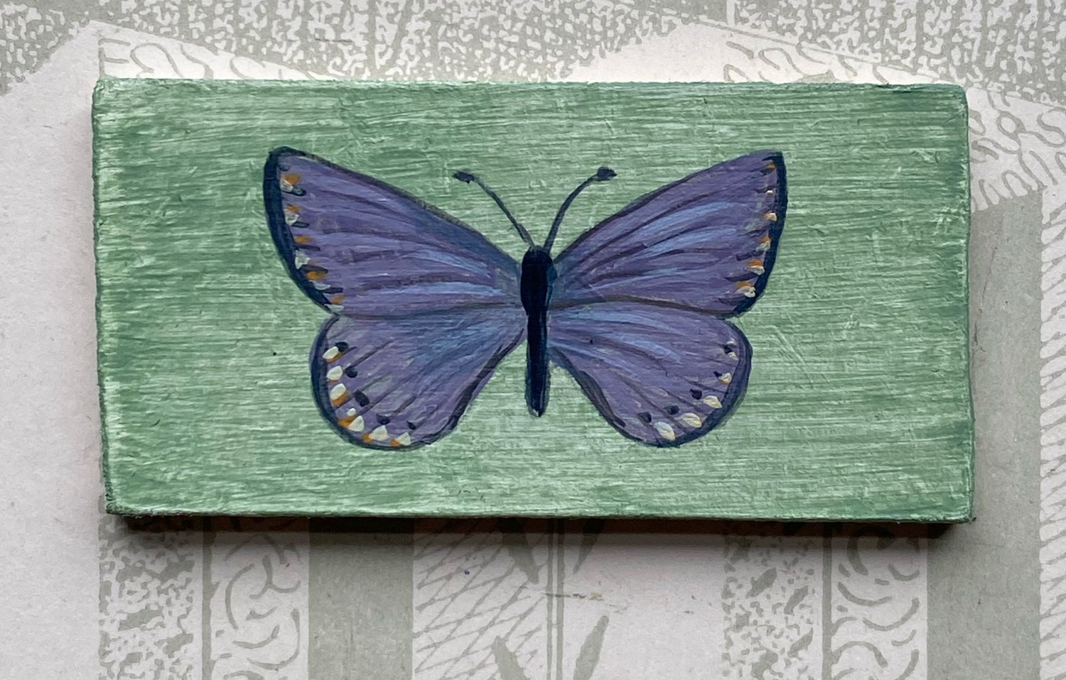 Image of Miniature Butterfly (5)