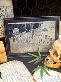 Image 2 of 1800s - Japanese collection with preserved webs. 6