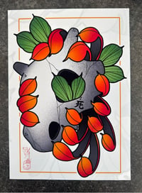 Image 2 of Cubone Chrysanthemum 