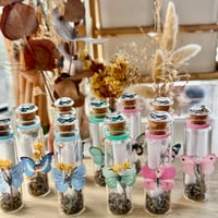 Image 10 of Butterfly (Simple) - Message in a Bottle
