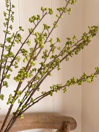 Image 1 of Green Berry Branches (3 included )