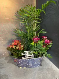 Image 3 of Christmas planter 