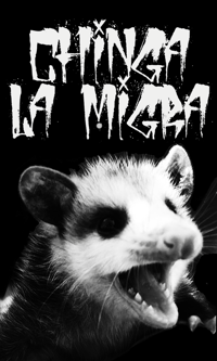 CHINGA LA MIGRA OPOSSUM 3”x5” vinyl waterproof outdoor sticker decal 