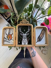 Image 2 of Throne of Glass - Framed Art #2 