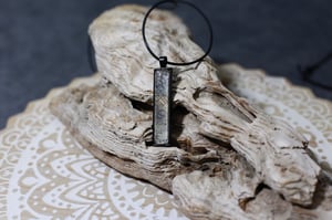 Image of Veiled Chameleon Collection 3