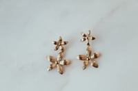 Image 2 of Brincos Flor