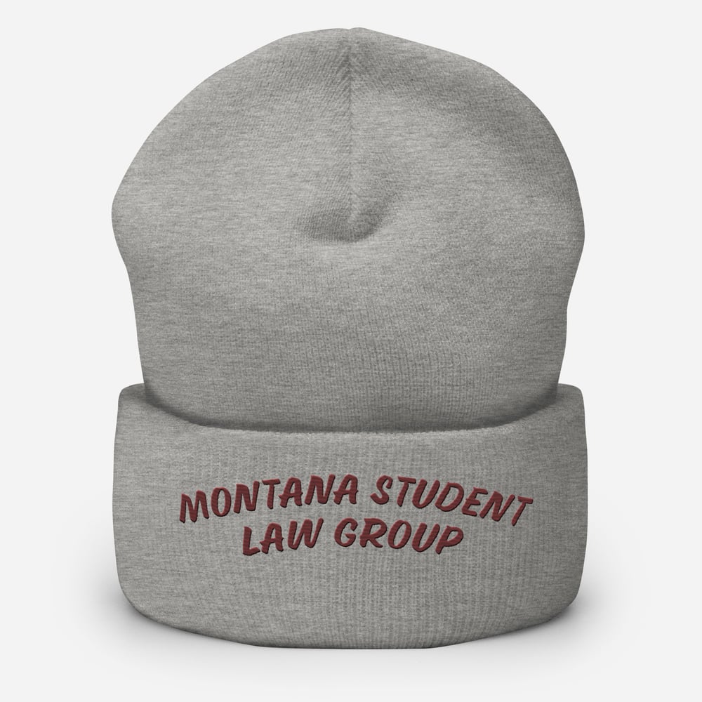 Image of Embroidered beanie