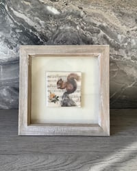 Image 1 of Red squirrel ceramic tile picture 