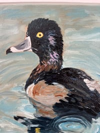 Image 5 of Ring-necked Duck Oil Painting 8x10in