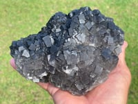 Image 5 of Green Cubic Fluorite Specimen #967