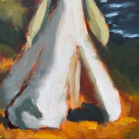 Image 3 of Afternoon at the Route 117 Pond.