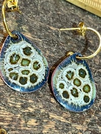 Image 7 of Blue Green Beauties 