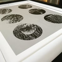 Image 4 of Natural Patterns I / 16" x 20" Print 