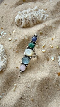 Image 3 of Tidepool Treasures