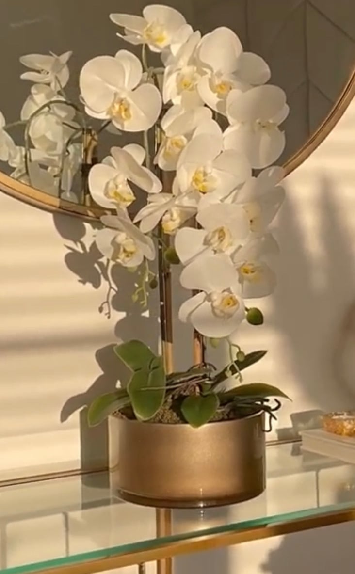 Real touch orchid | Lusso Vita Decor