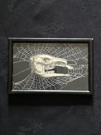 Image 2 of ANTIQUE ANATOMICAL ANIMAL COLLECTION - & Preserved web 9