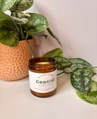 Image 5 of Spring & Summer Scents