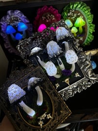 Image 1 of Inky cap frame led