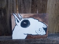 Image 10 of Bull Terrier Portrait 