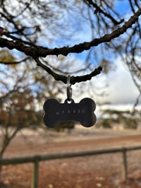 Dog Tag - Adult Collar Size