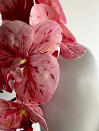 Image 2 of Pink orchids #2