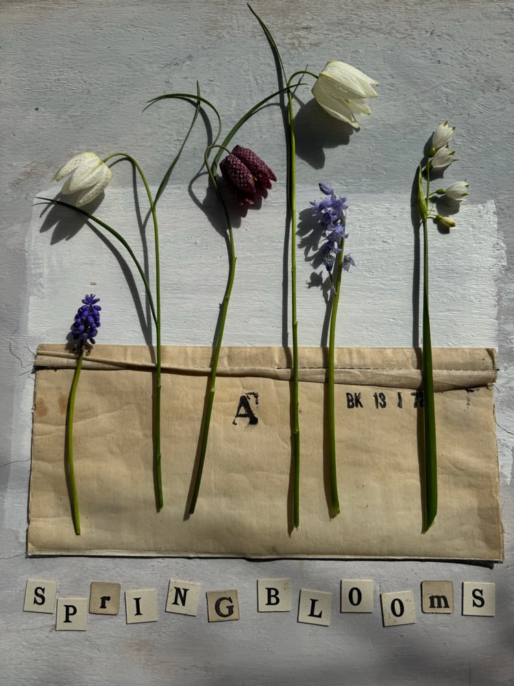 Image of Box of vintage letter tiles