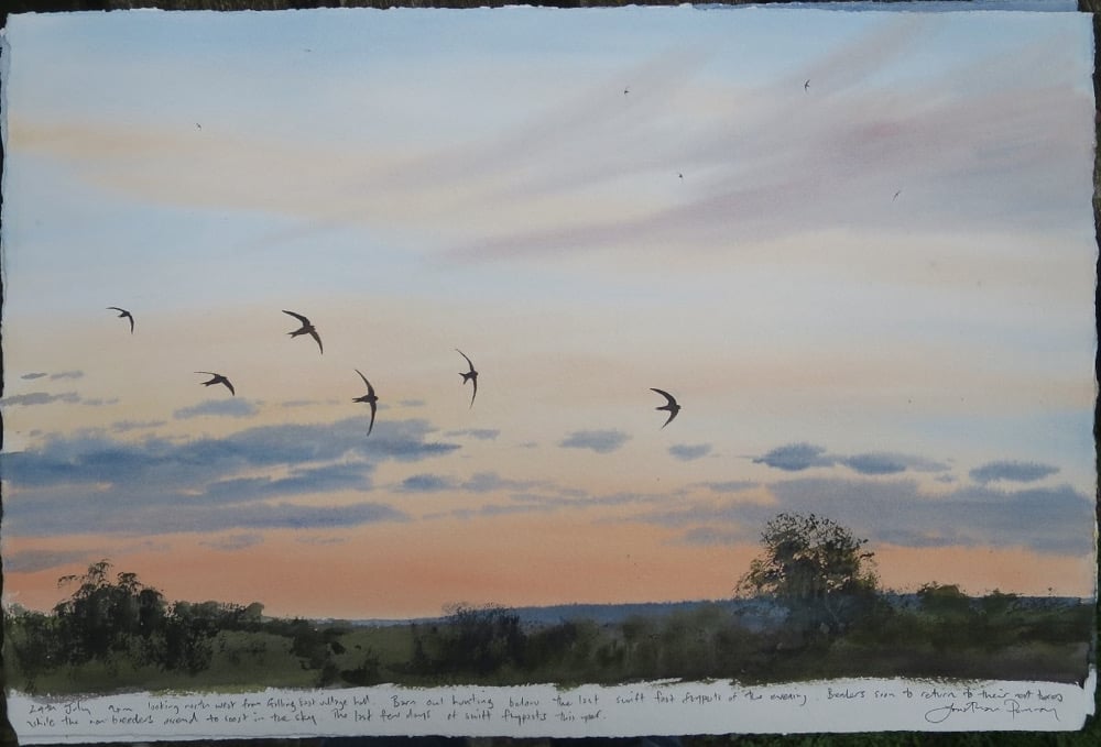 Image of Six swift flypast- 24th July